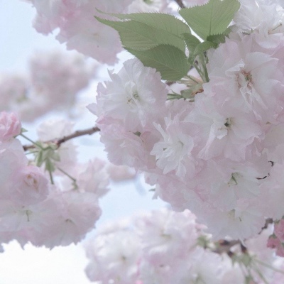 兽设场景氛围营造福瑞交流群